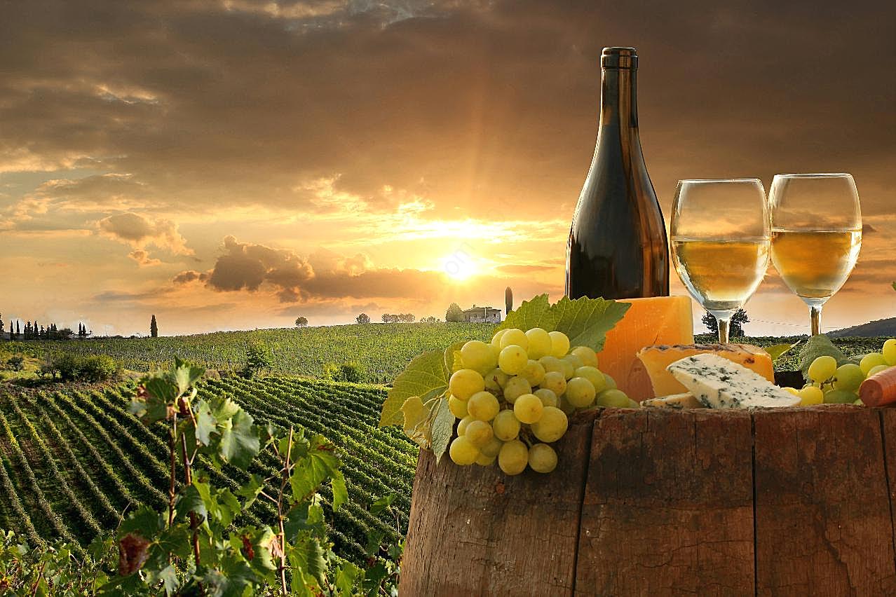 法国葡萄酒庄园图片摄影高清