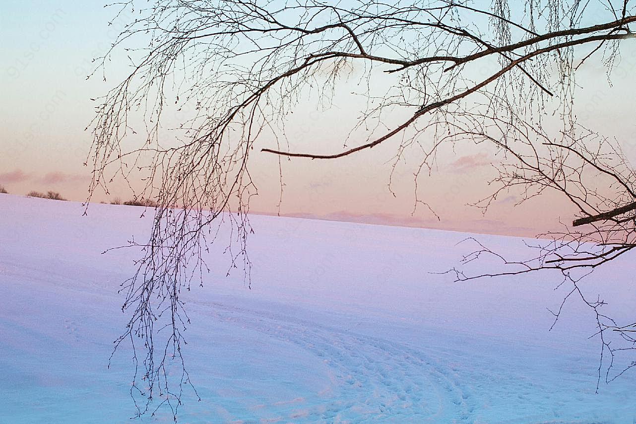 冬日摄影图片雪景