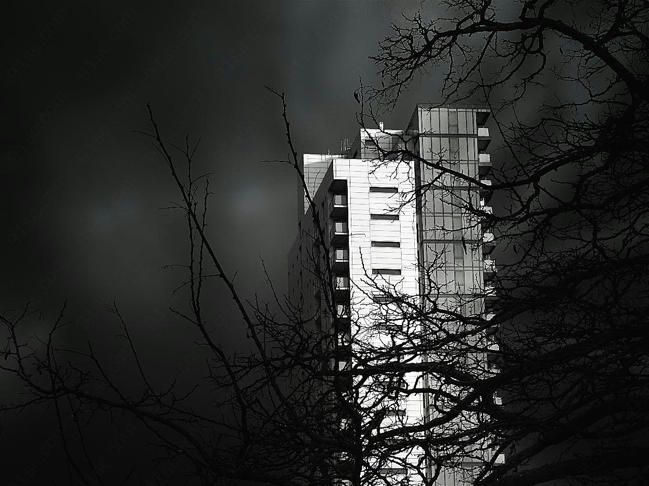 黑白城市高楼建筑图片摄影