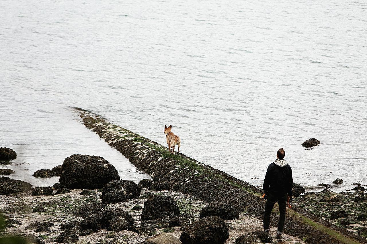 海边男人和狗图片高清