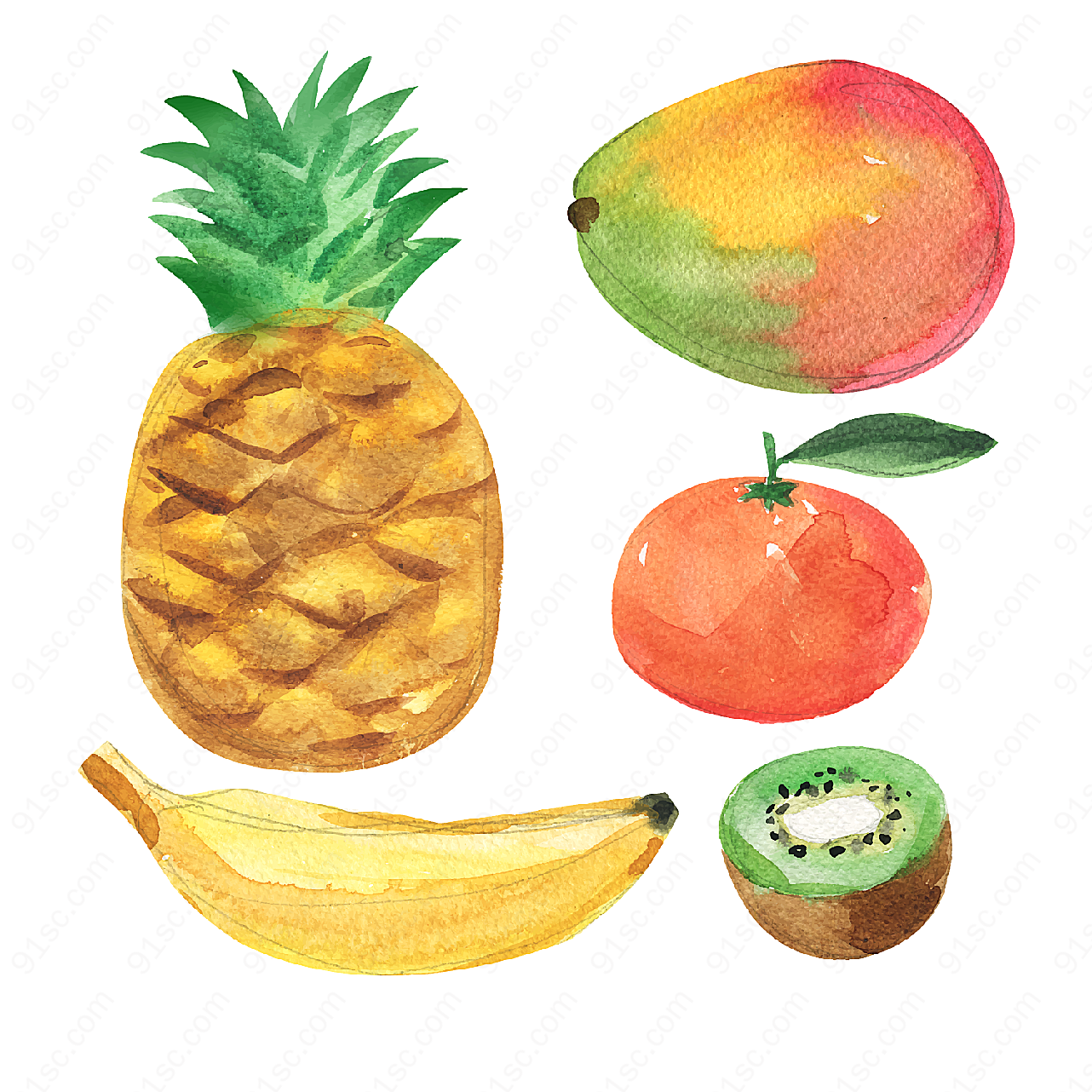 水彩绘水果矢量矢量水果