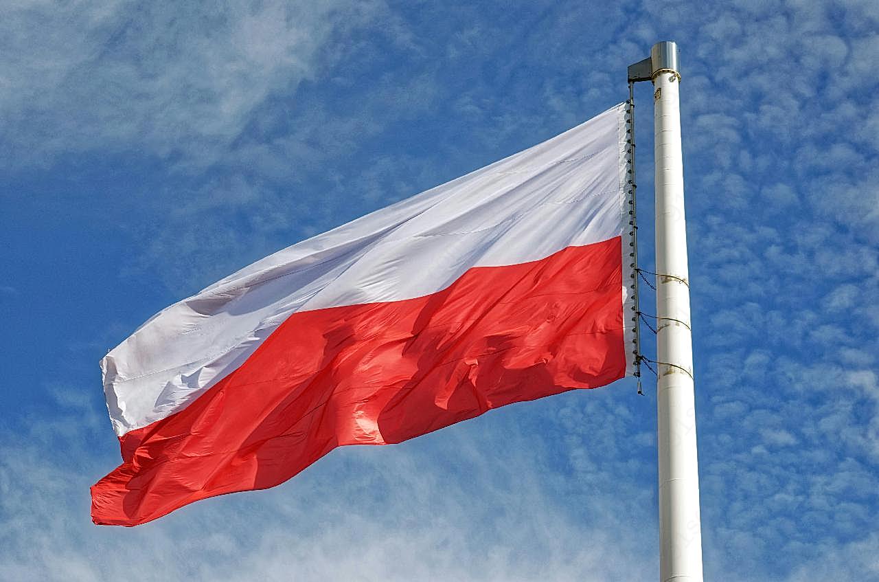 飘扬波兰旗帜图片高清摄影