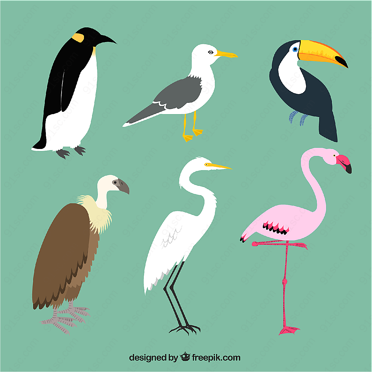 鸟类设计矢量矢量野生动物