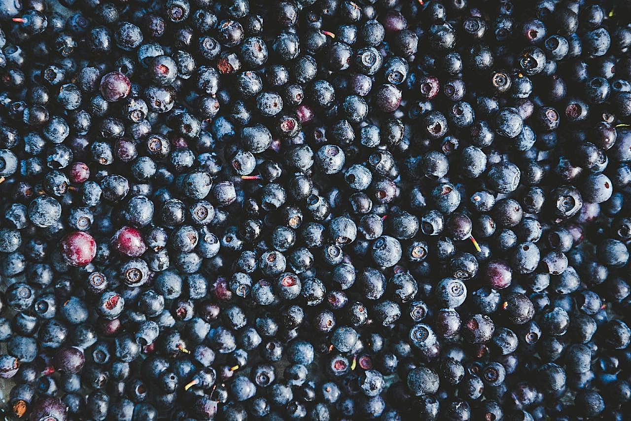 新鲜成熟蓝莓高清图片水果
