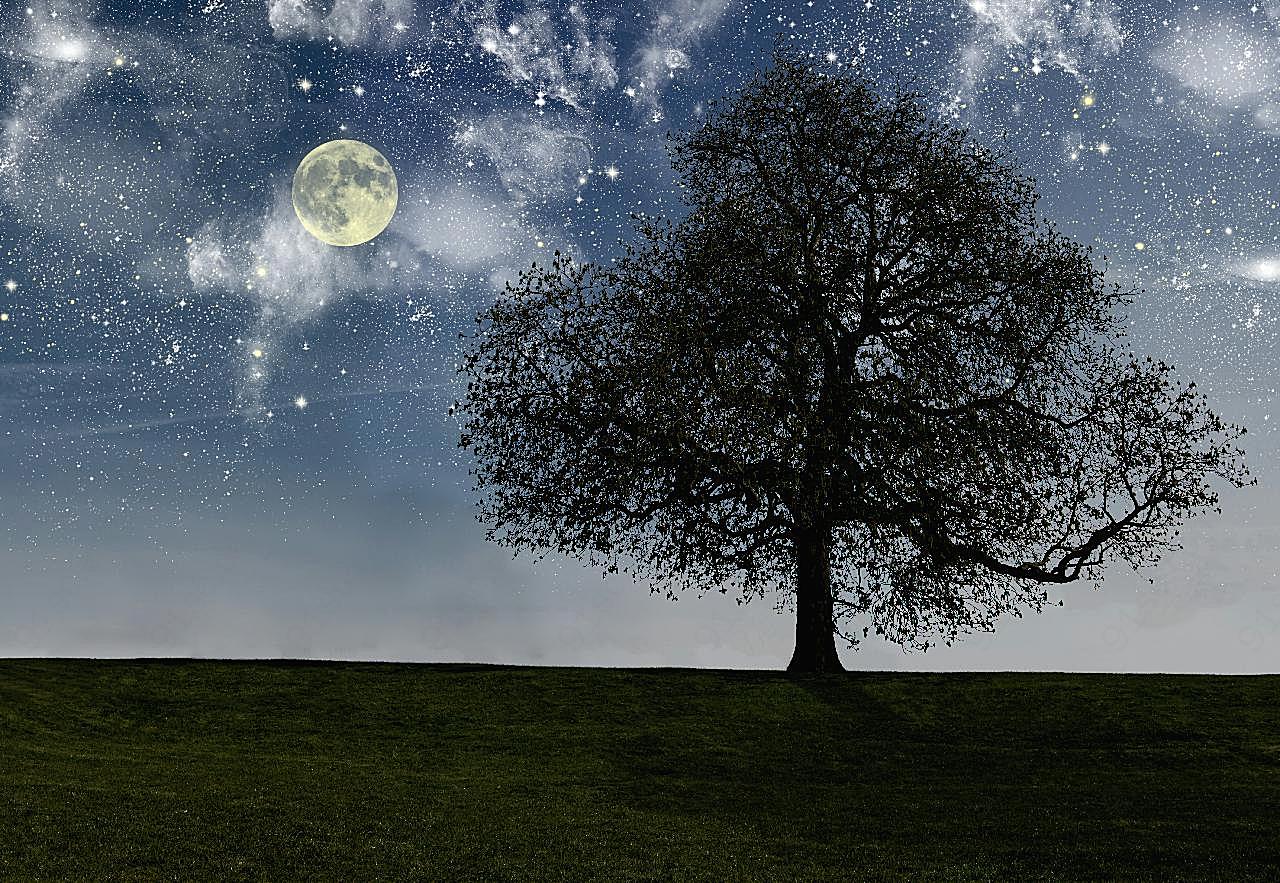 夜晚星空月亮大树草地图片自然风景