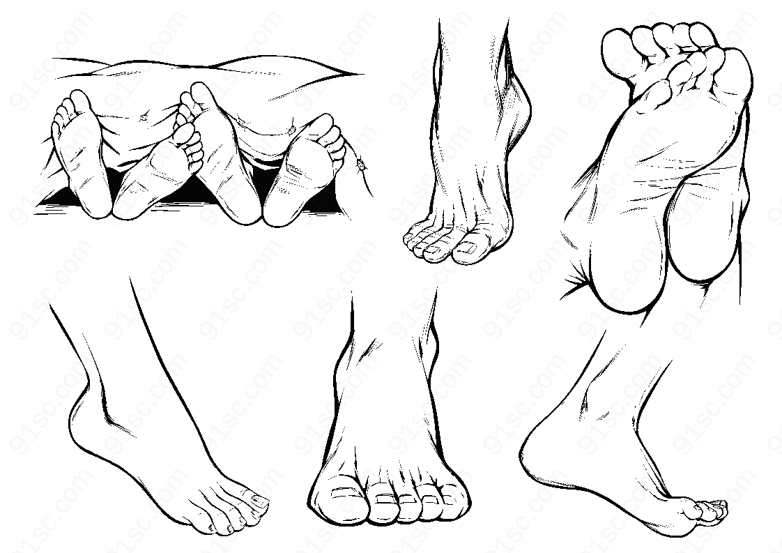 人体脚部素描矢量肢体动作