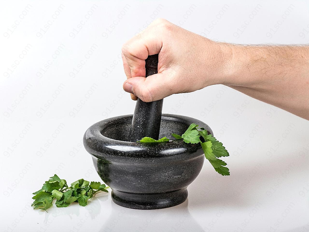 研磨香菜图片生物