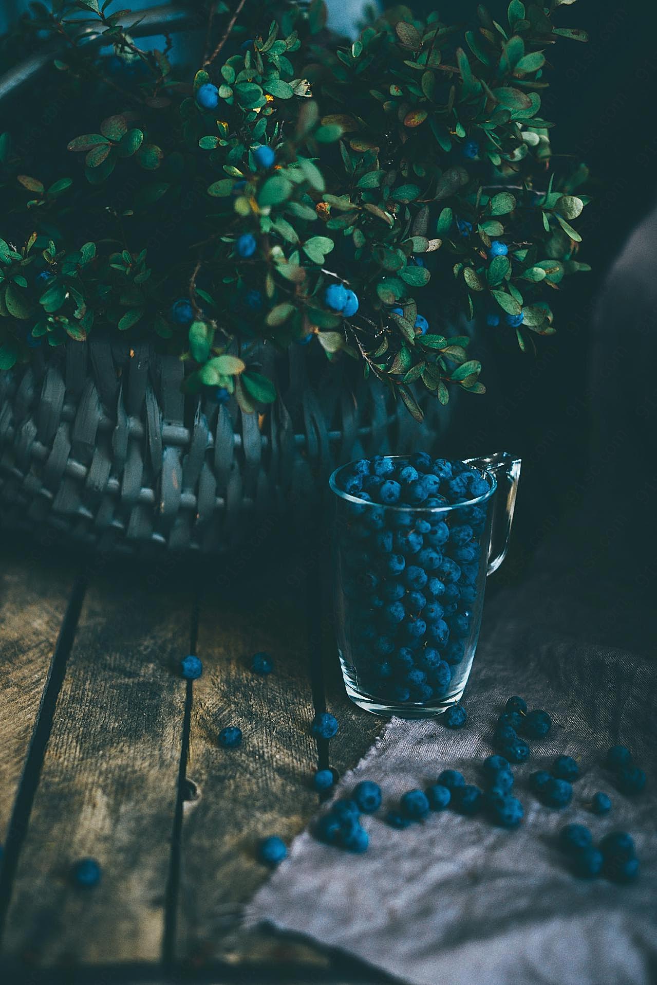 新鲜蓝莓果图片高清生物