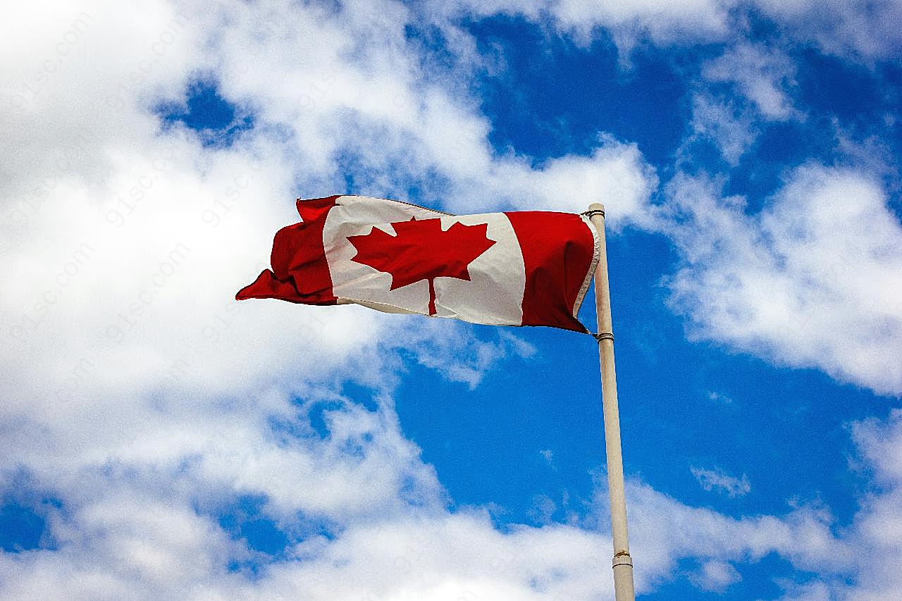 加拿大国旗飘扬图片摄影高清