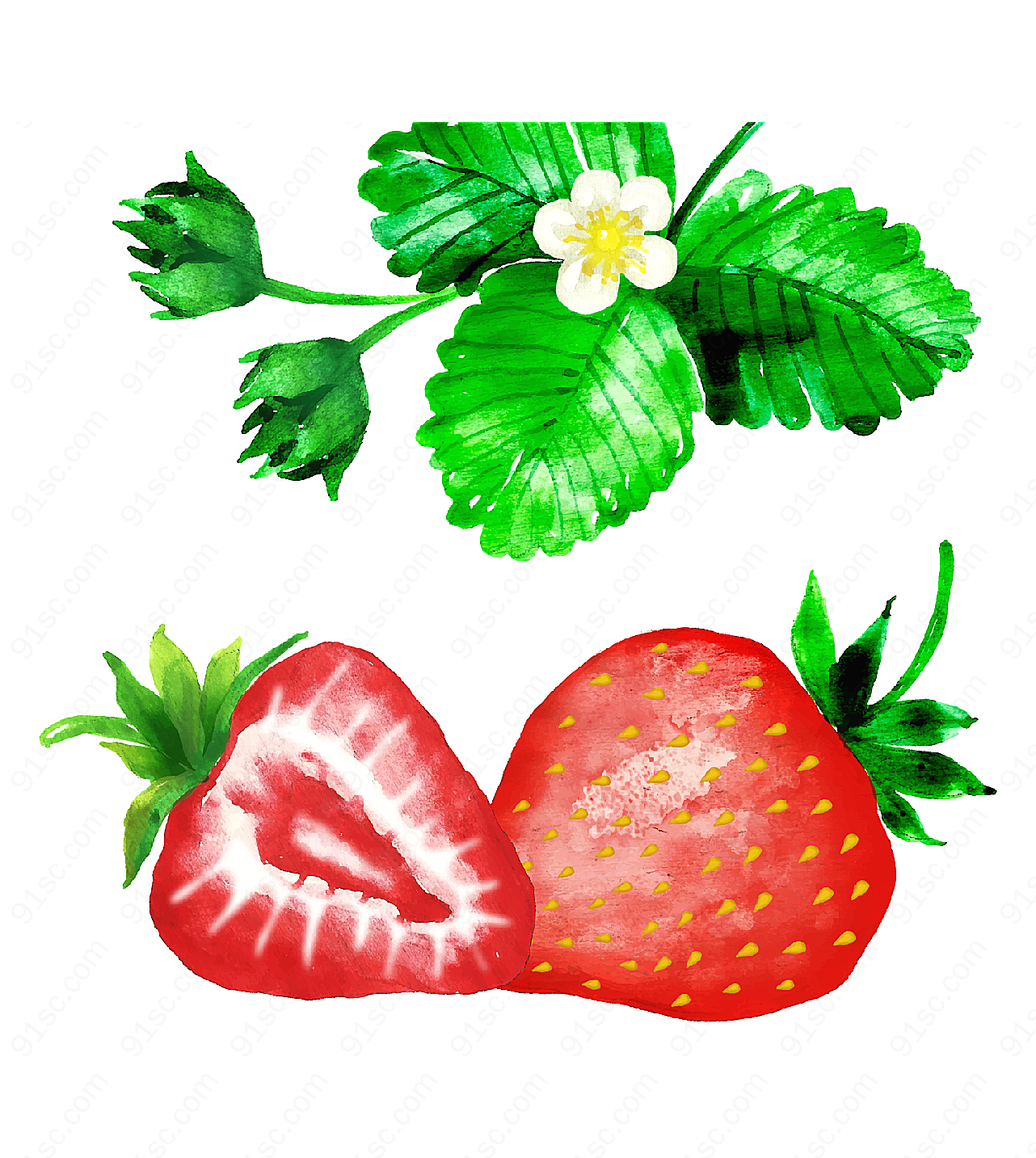 草莓和草莓叶矢量水果