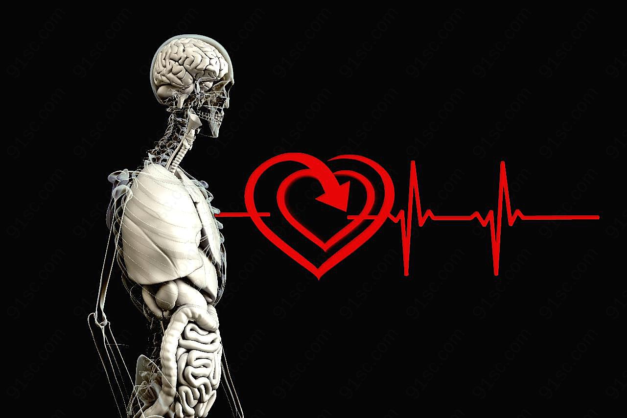 人体结构医学海报图片医疗保健图片