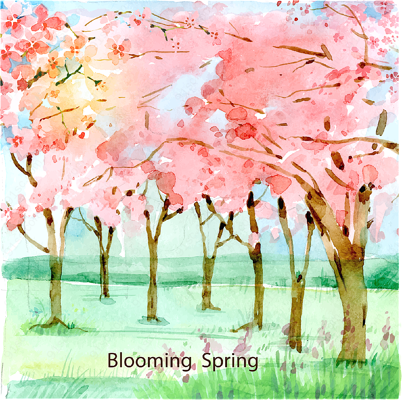 樱花树林矢量绘画