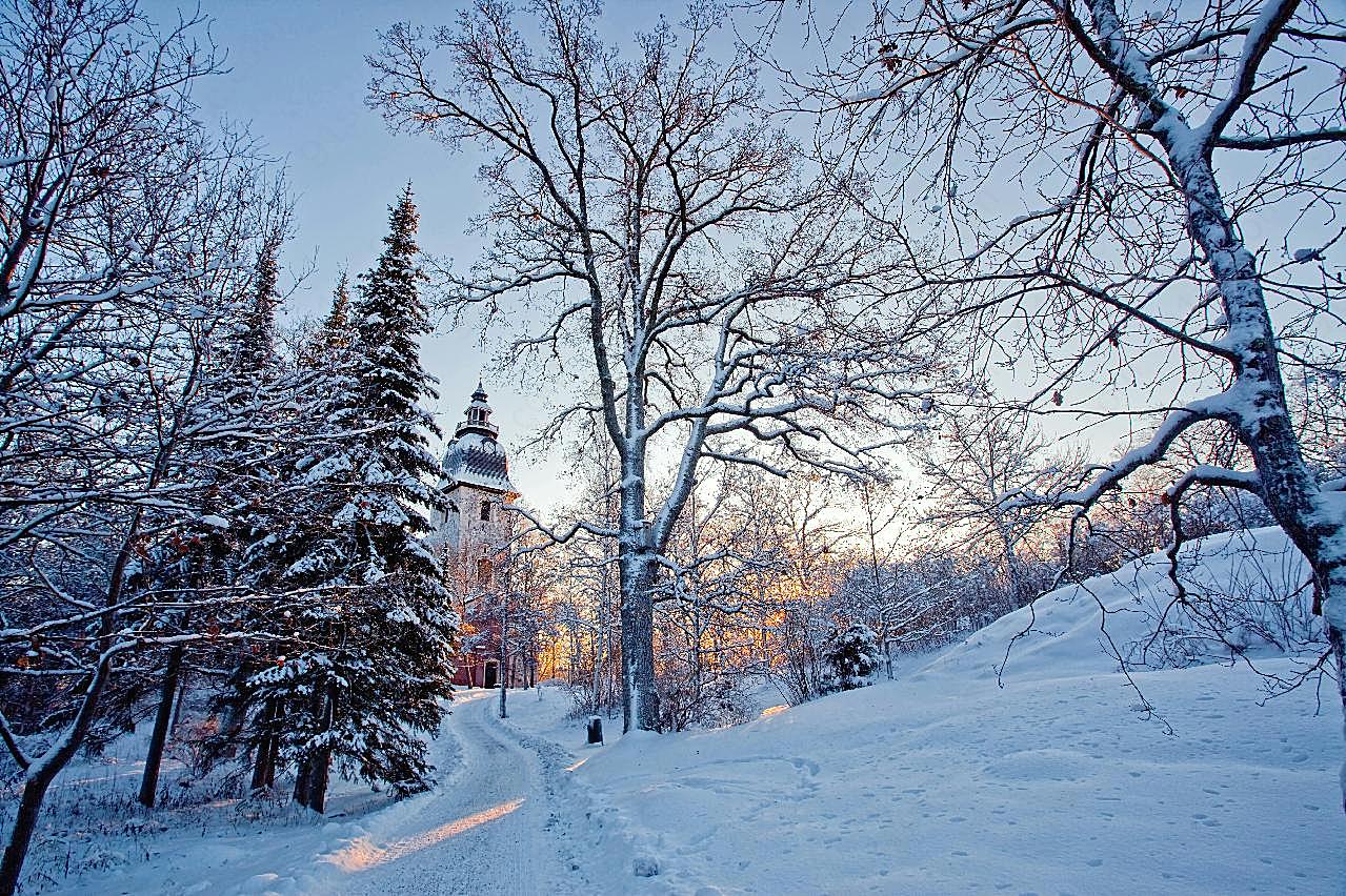 冬季雪景图片下载摄影
