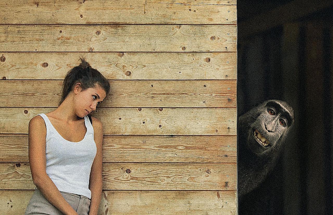 大猩猩和摄影