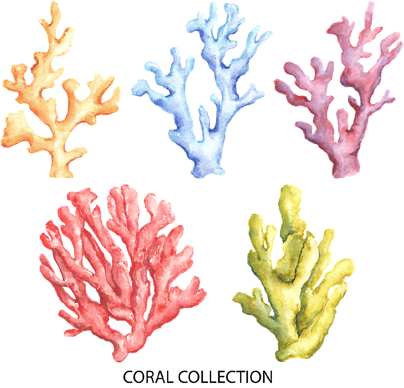 彩绘珊瑚设计水中生物