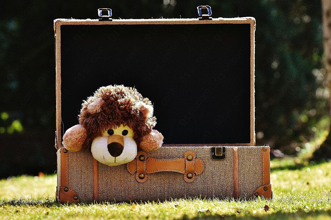 行李箱里的玩具狮子图片生活用品