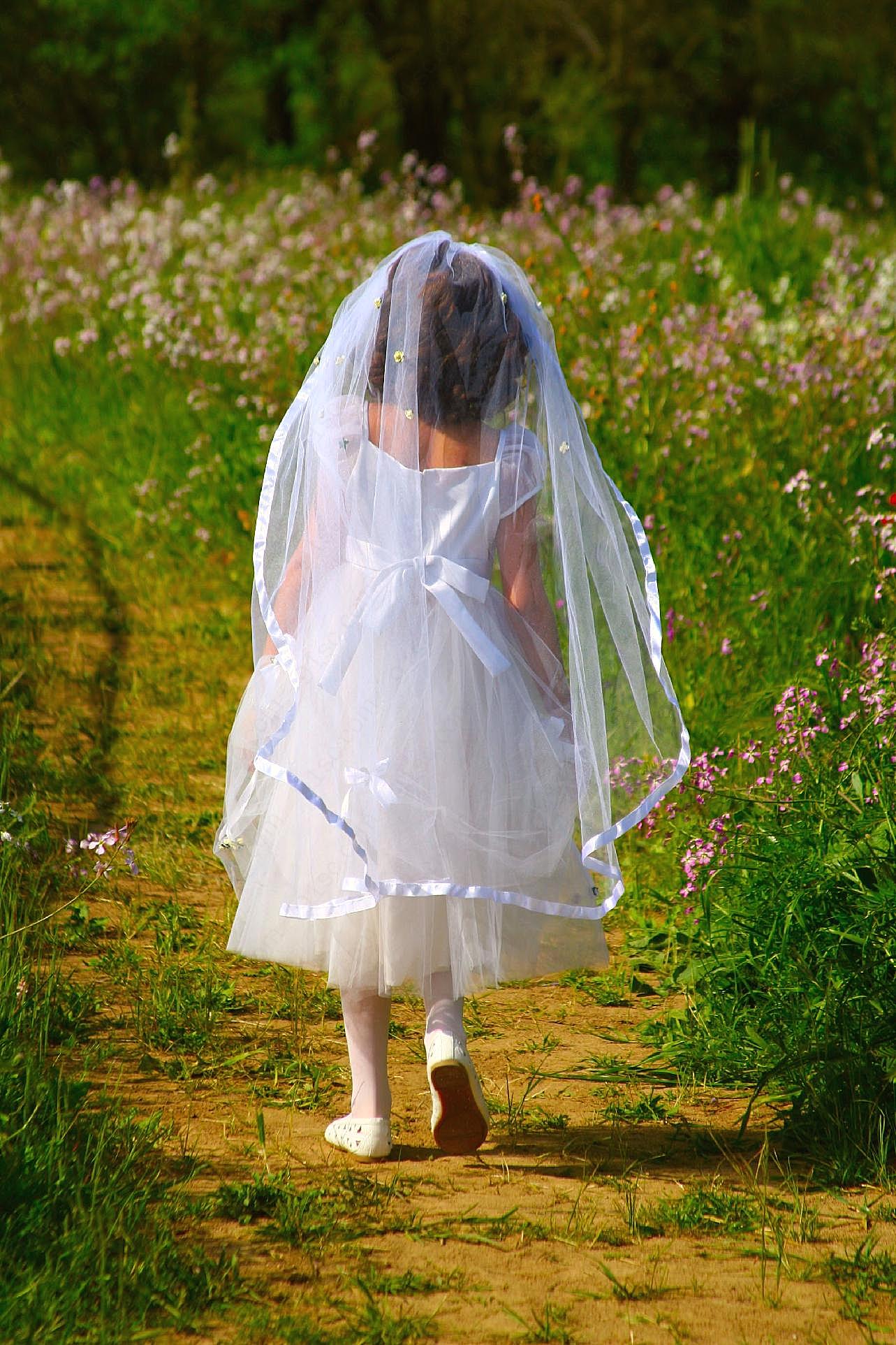 小新娘婚纱背影图片婚纱图片