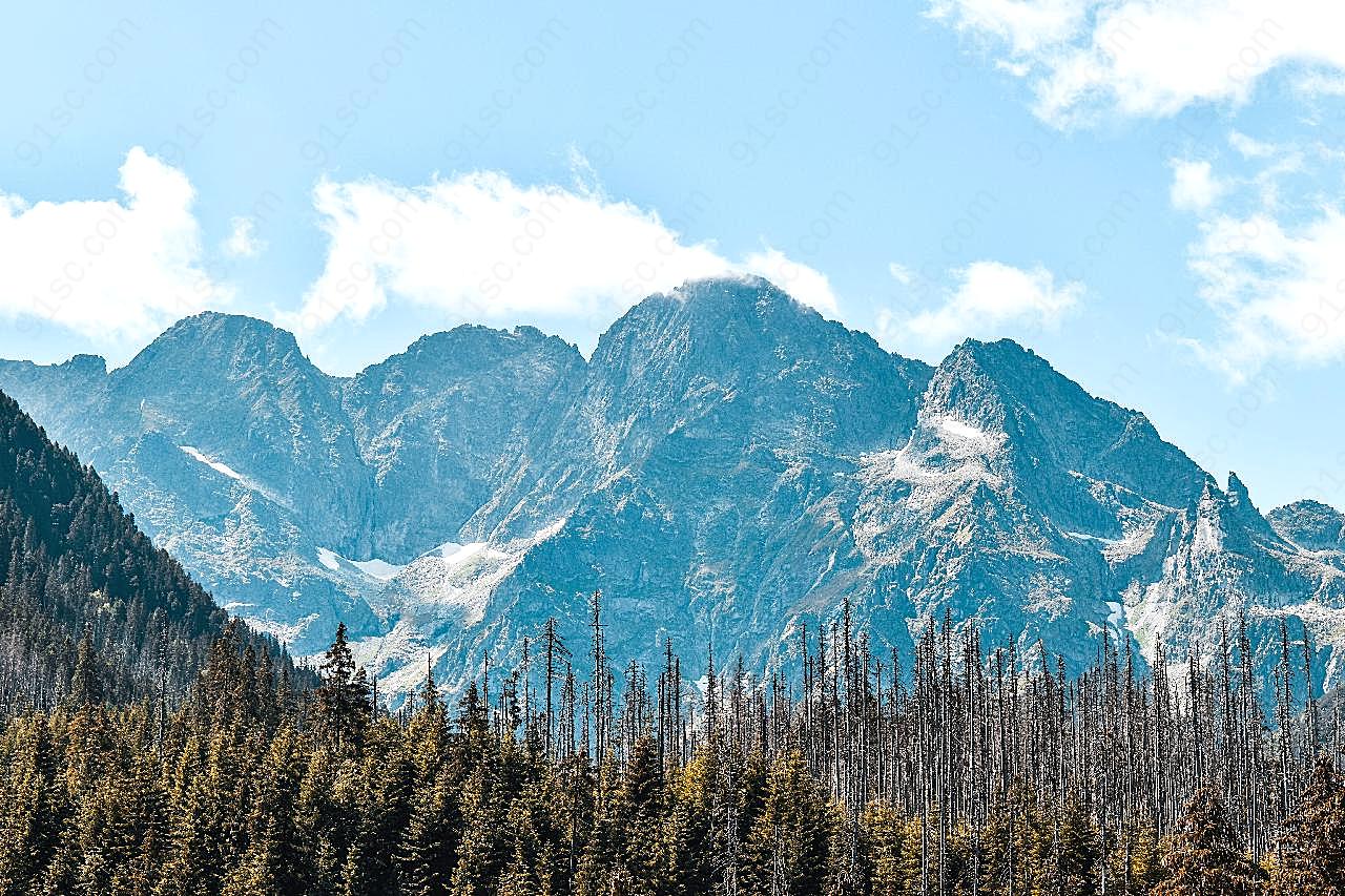 阿尔卑斯雪山树木景观图片自然
