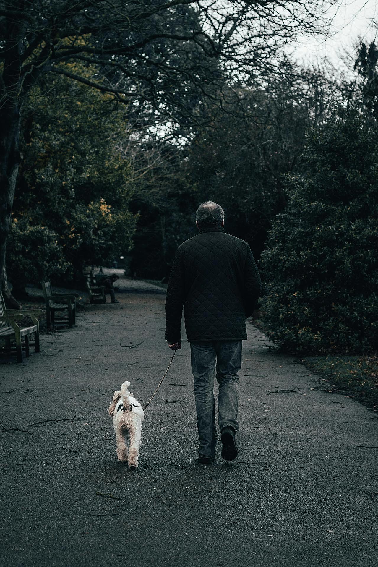 老人遛狗散步背影图片人物高清