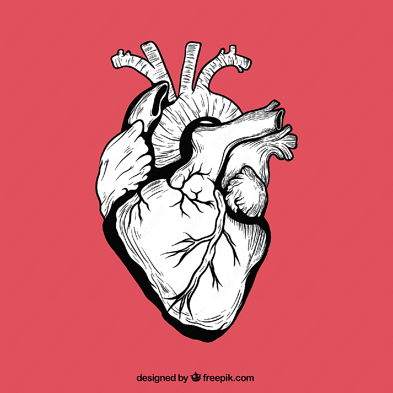 手绘心脏设计其它其它其它矢量人物