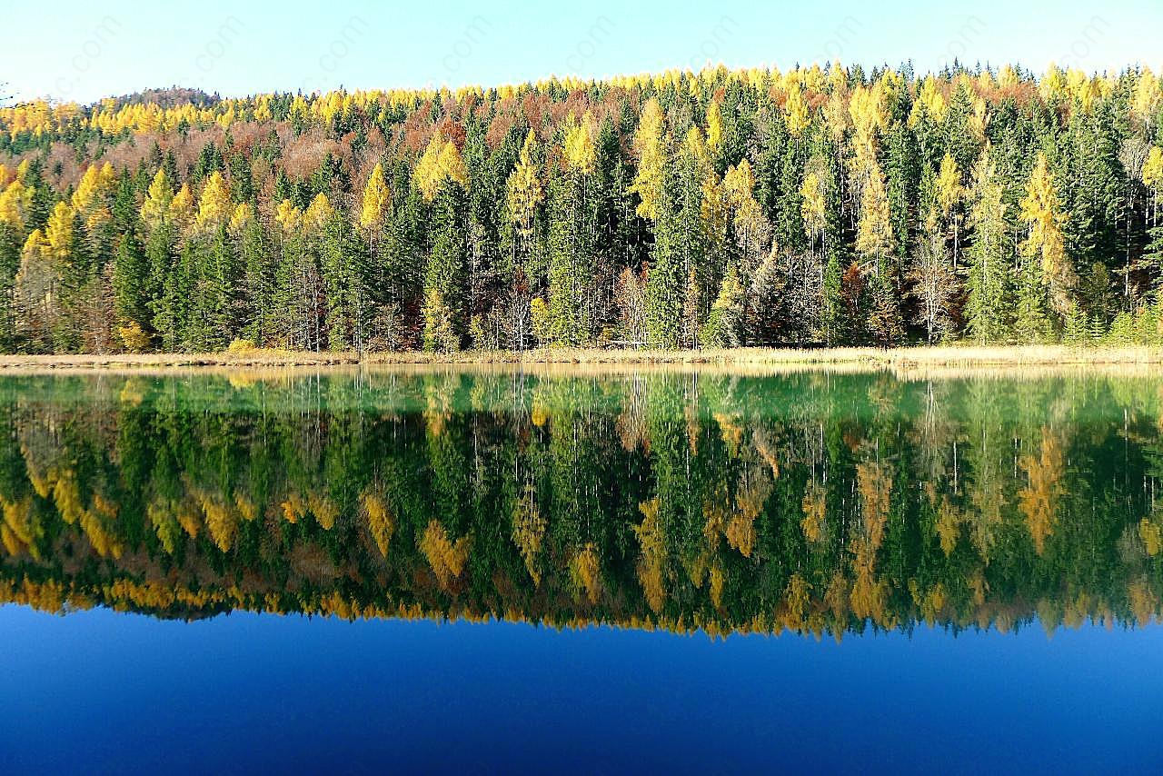 秋天湖泊图片树林