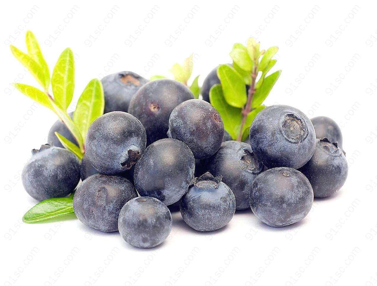 蓝莓图片水果