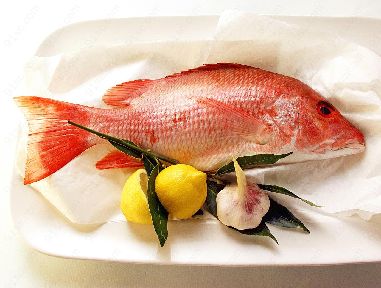 热带鱼高清图片餐饮美食