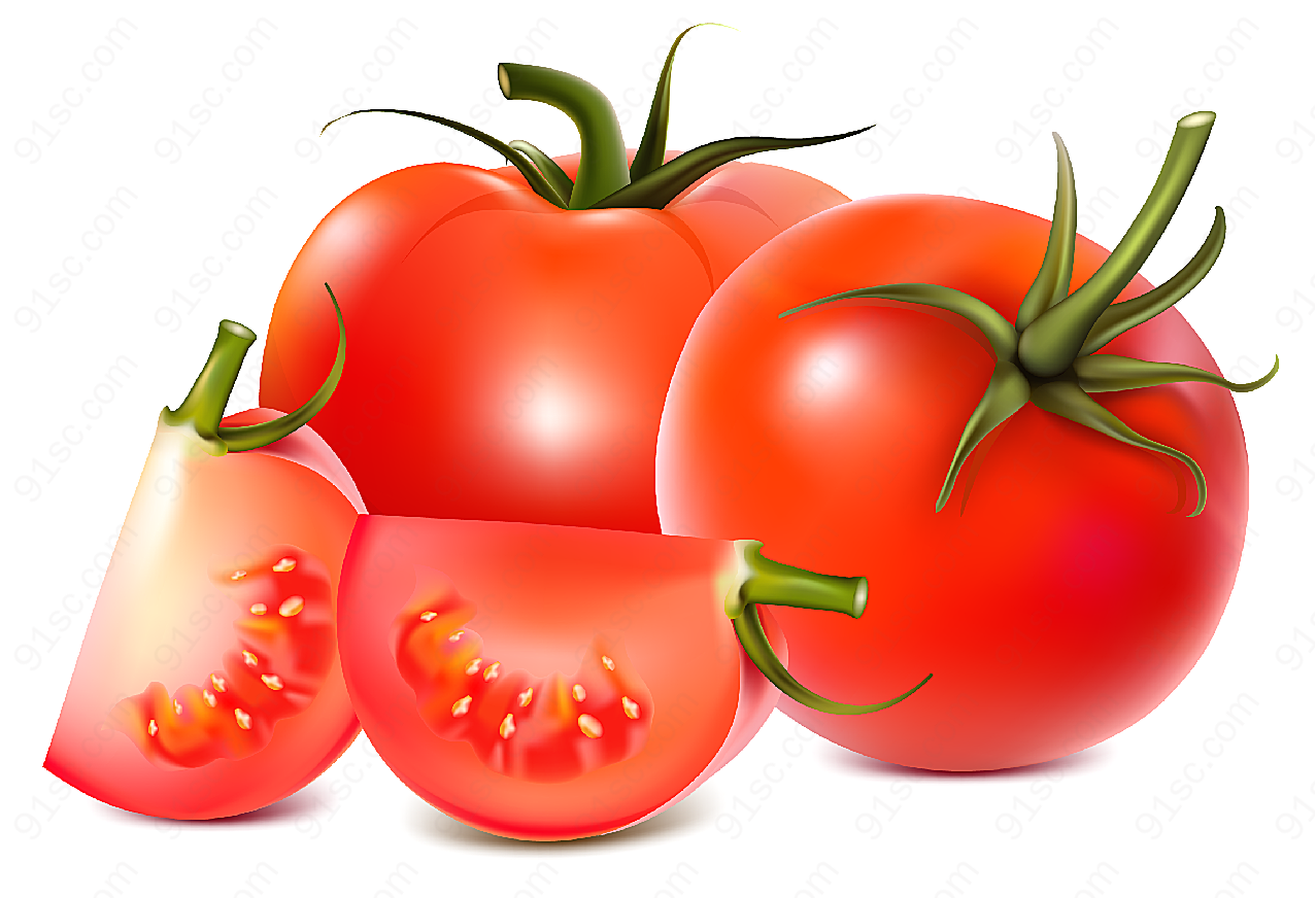 西红柿矢量素材矢量蔬菜