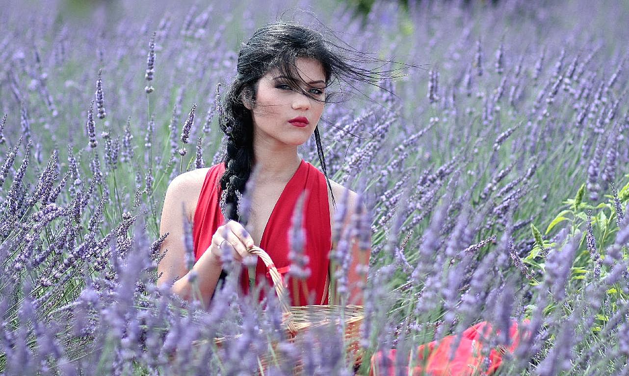 薰衣草花海美女风景图片人物高清