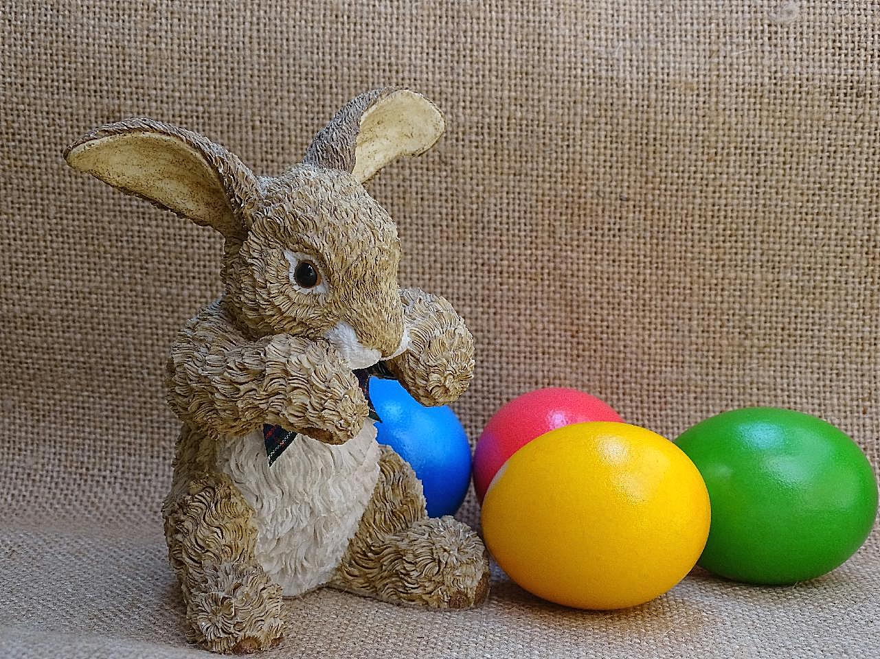 复活节彩蛋兔子素材图片高清摄影