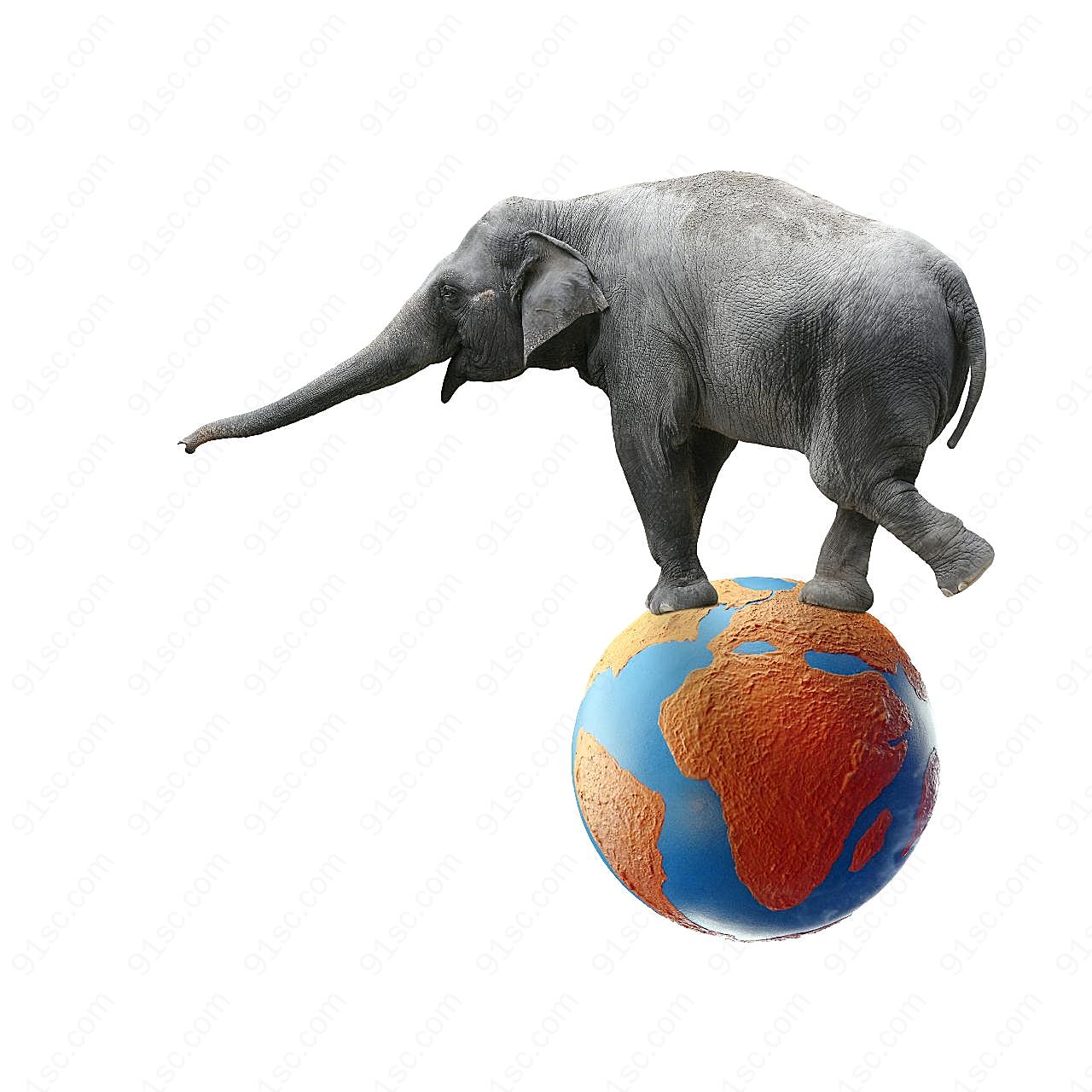大象踩地球模型图片素材下载动物图片