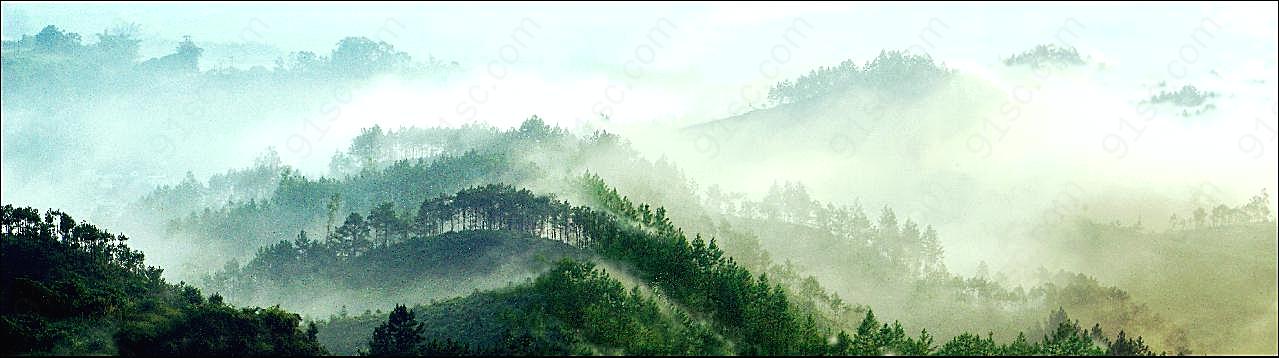 晨雾自然风景