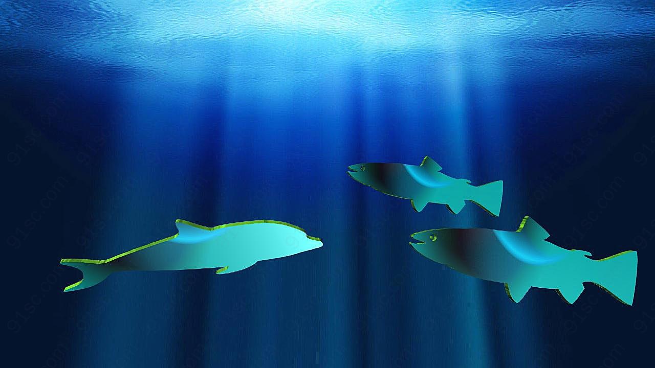 海洋鱼动物剪影设计图片摄影