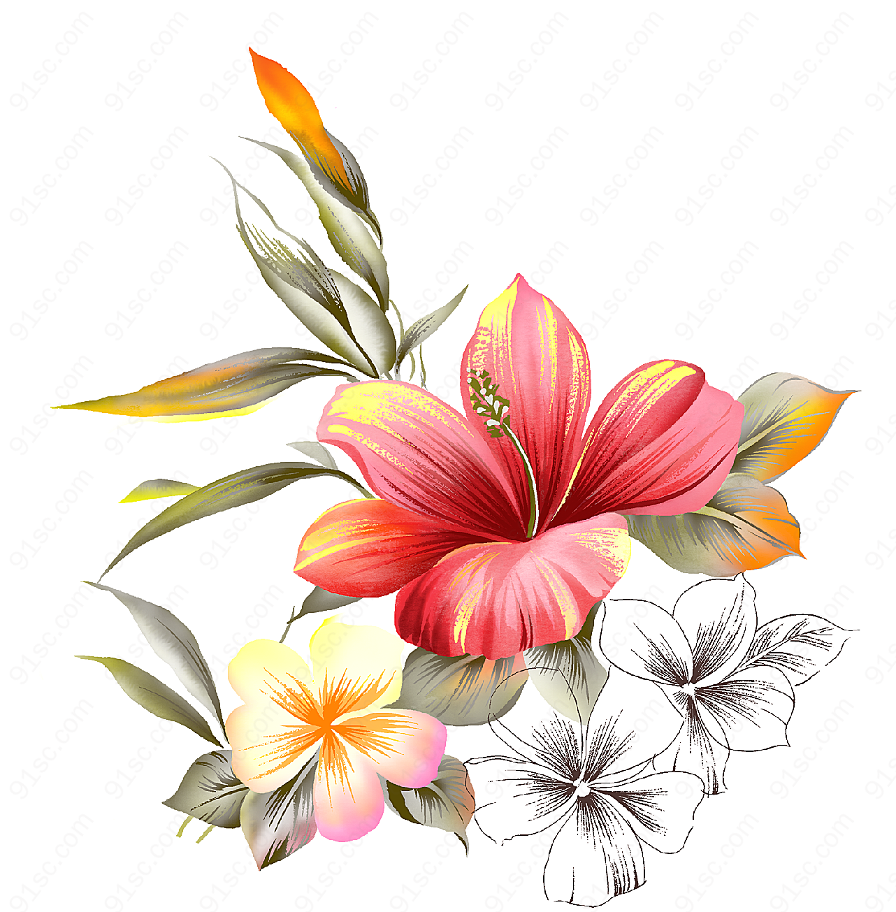手绘时尚花卉花纹底纹边框