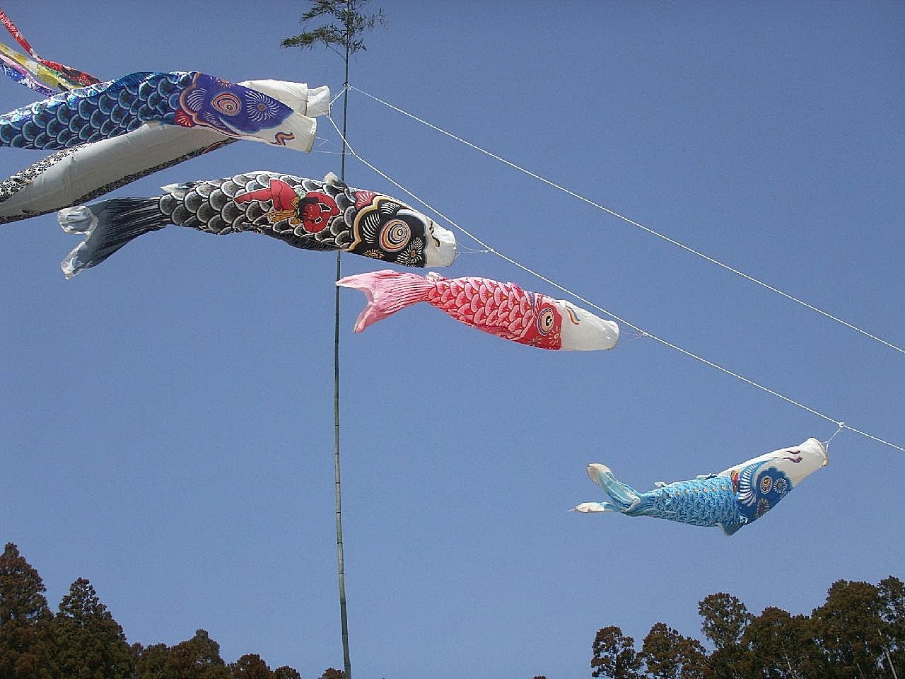 日本鲤鱼旗图片摄影高清