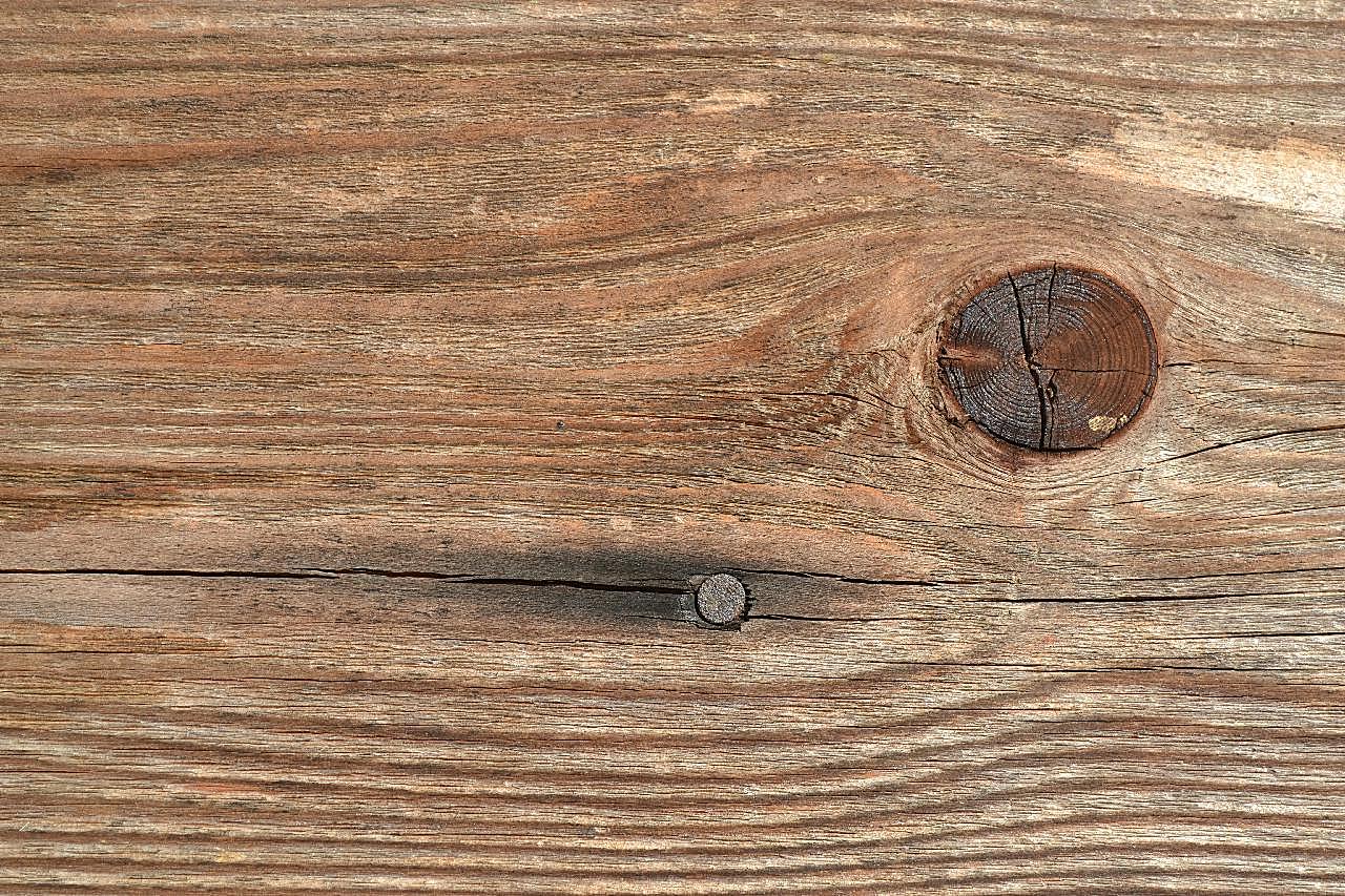 原木木纹素材图片摄影
