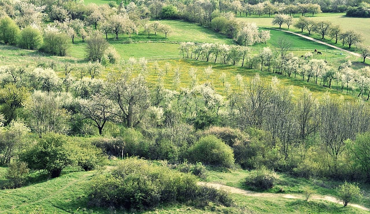 春天的田野图片风景高清