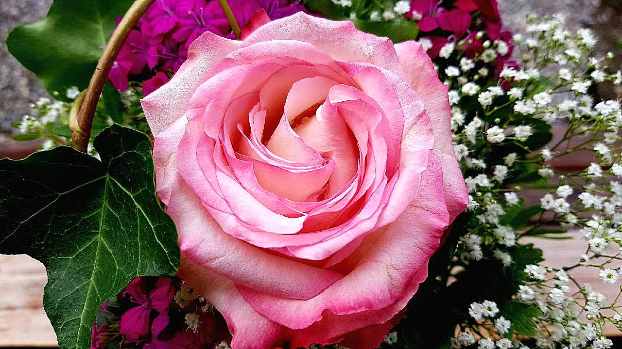 生日束图片玫瑰花