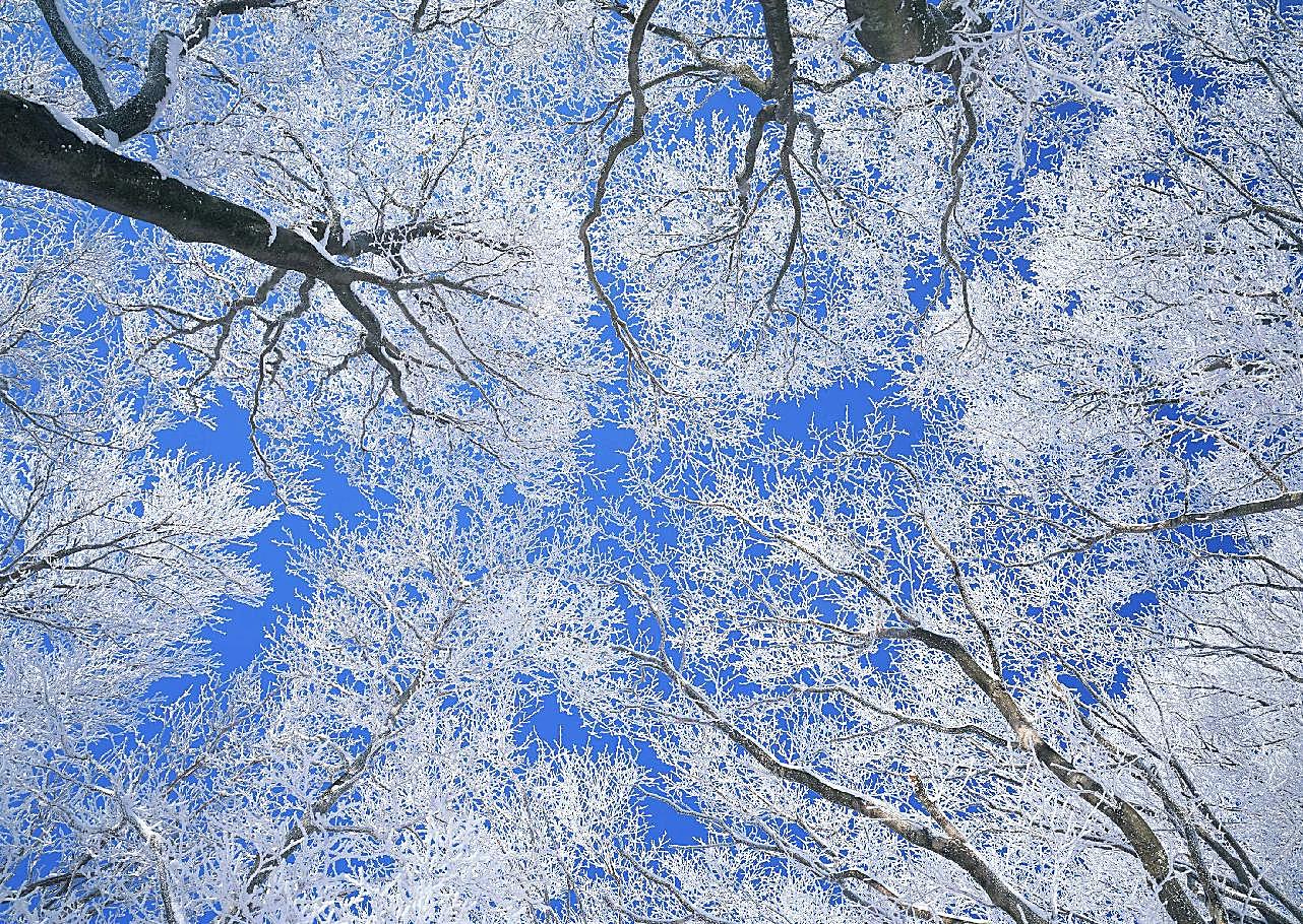 冰天雪地499雪景
