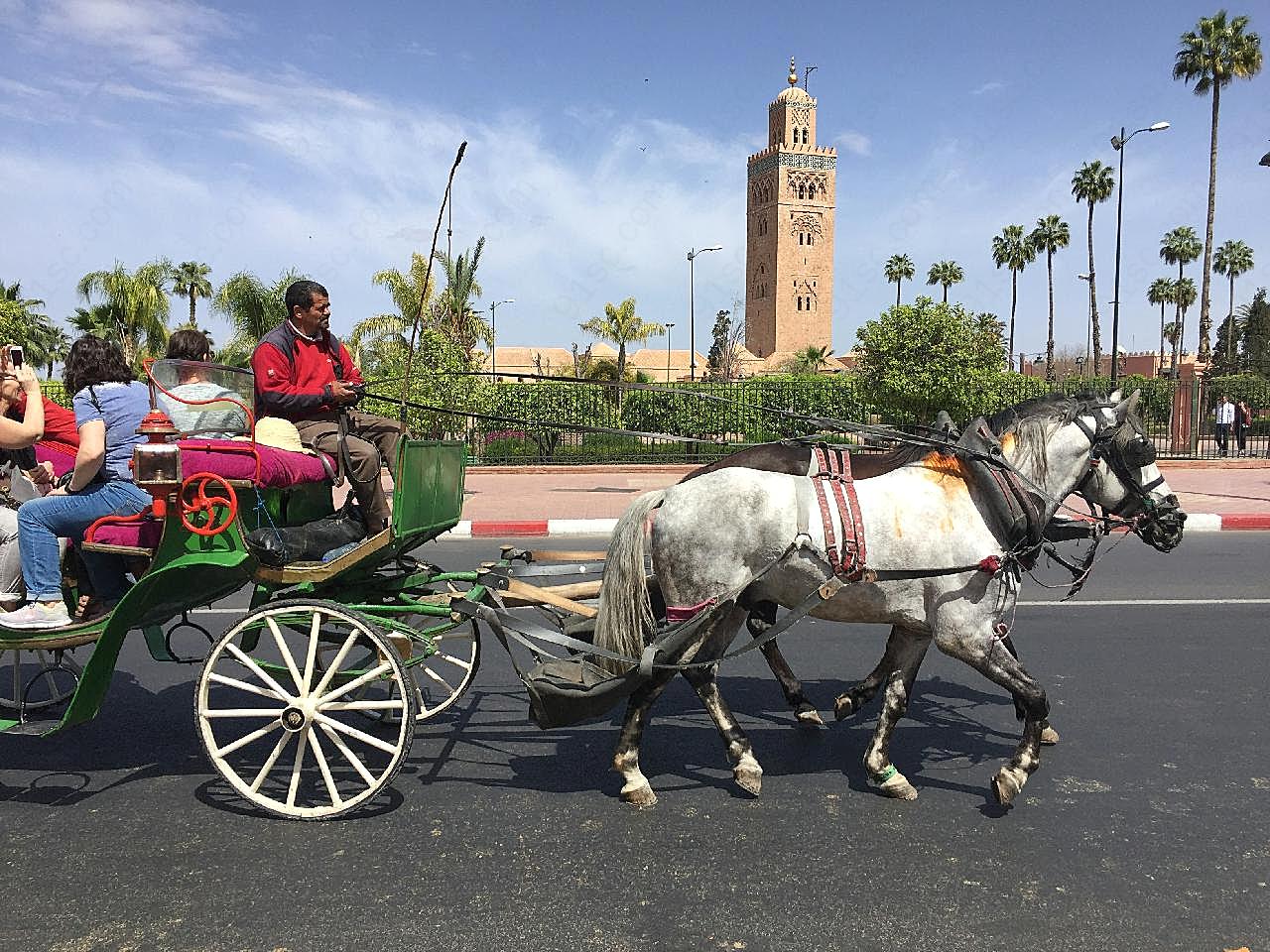 摩洛哥马车图片交通运输