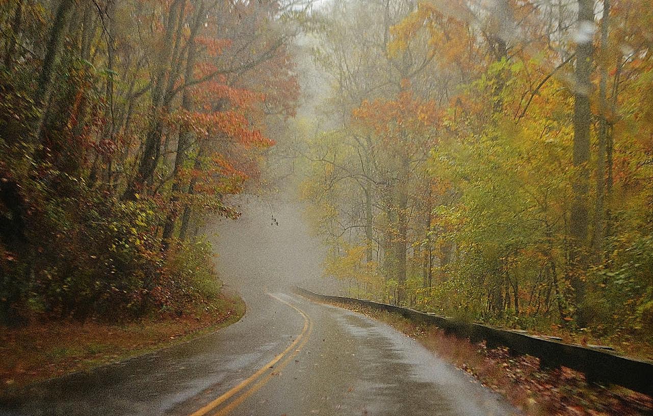 秋天清晨雾气公路风景图片景观