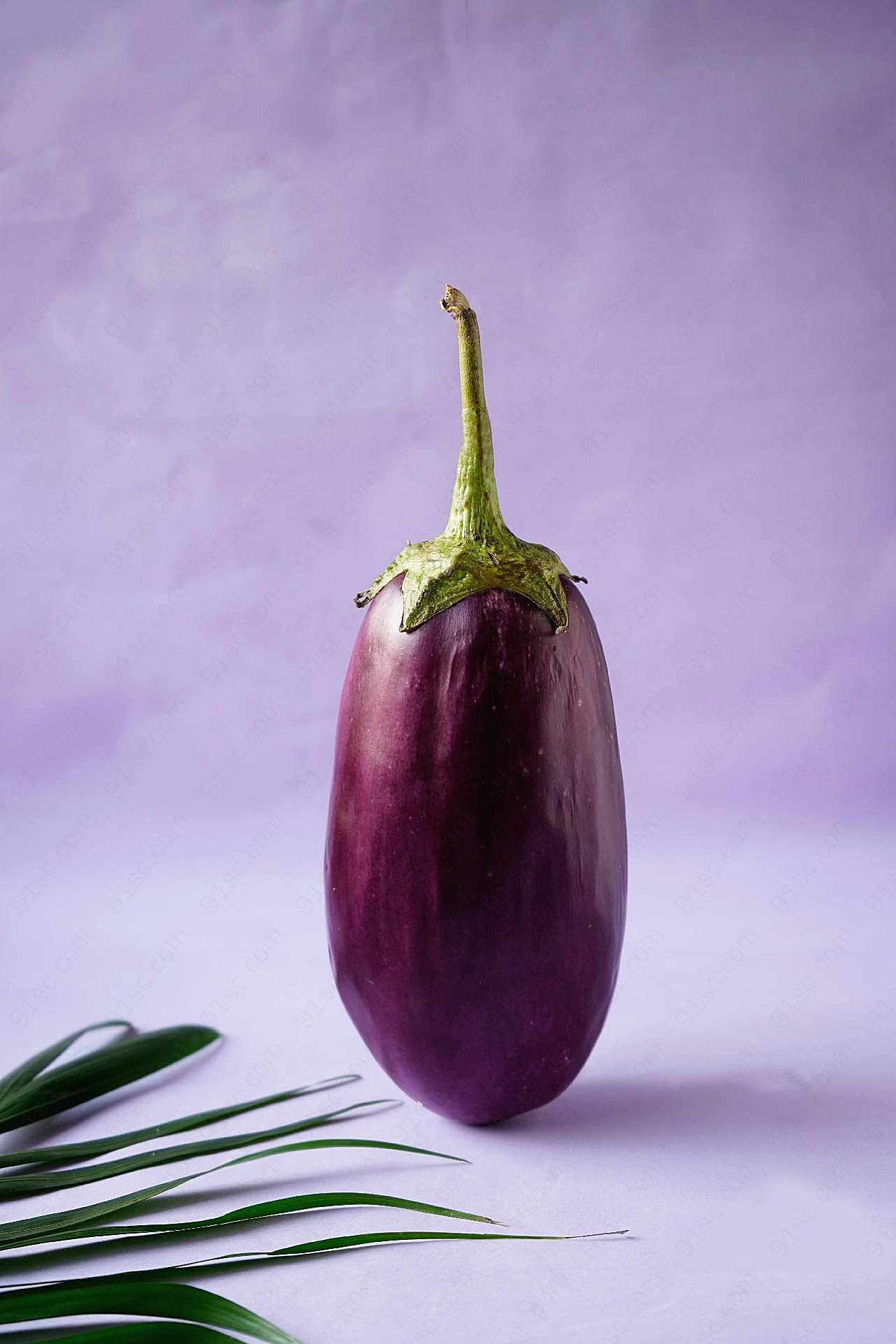 紫茄子图片摄影