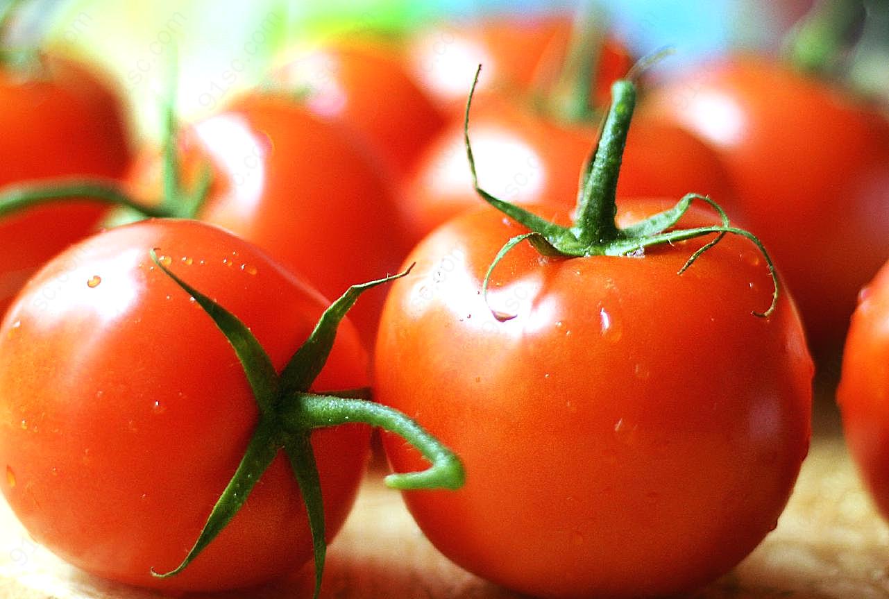 新鲜红番茄摄影图片蔬菜