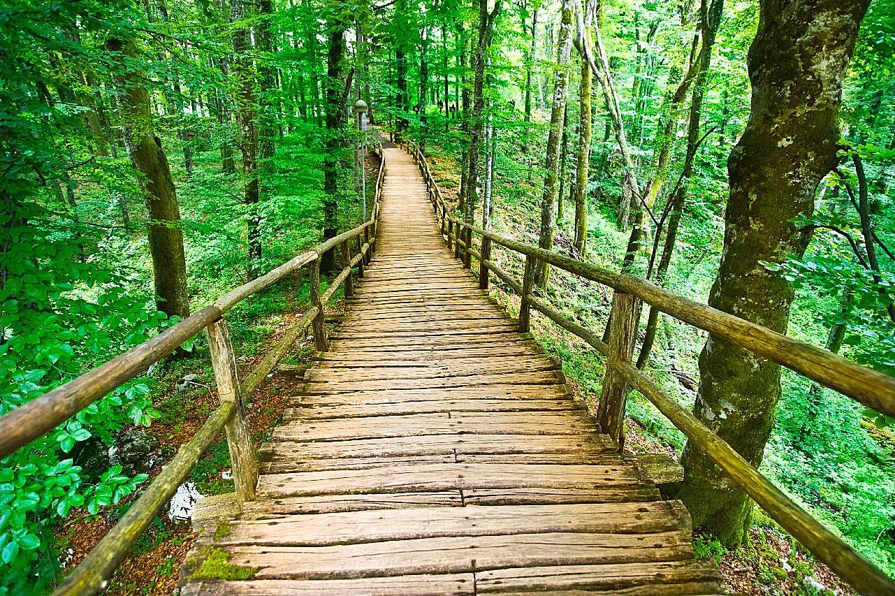 高清木桥风景图片下载自然景观