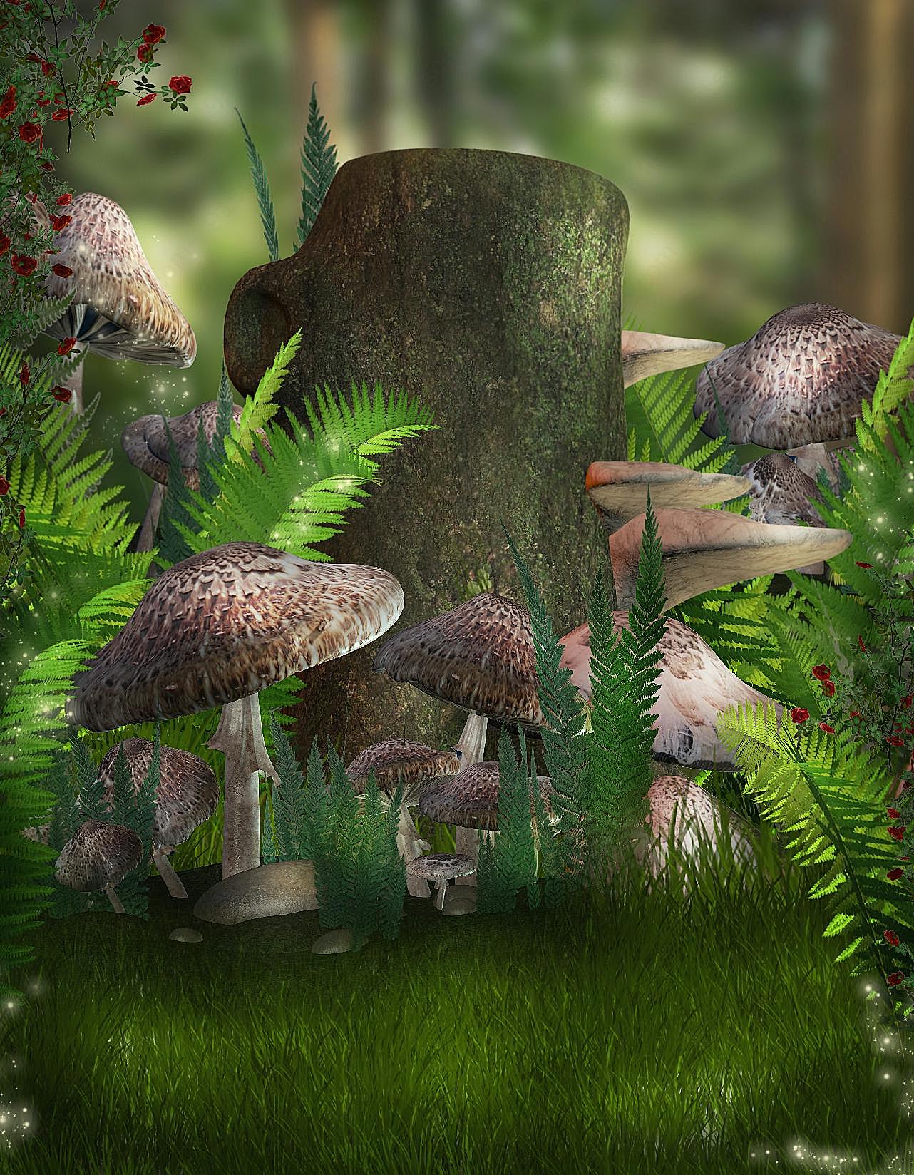 高清森林蘑菇图片下载摄影