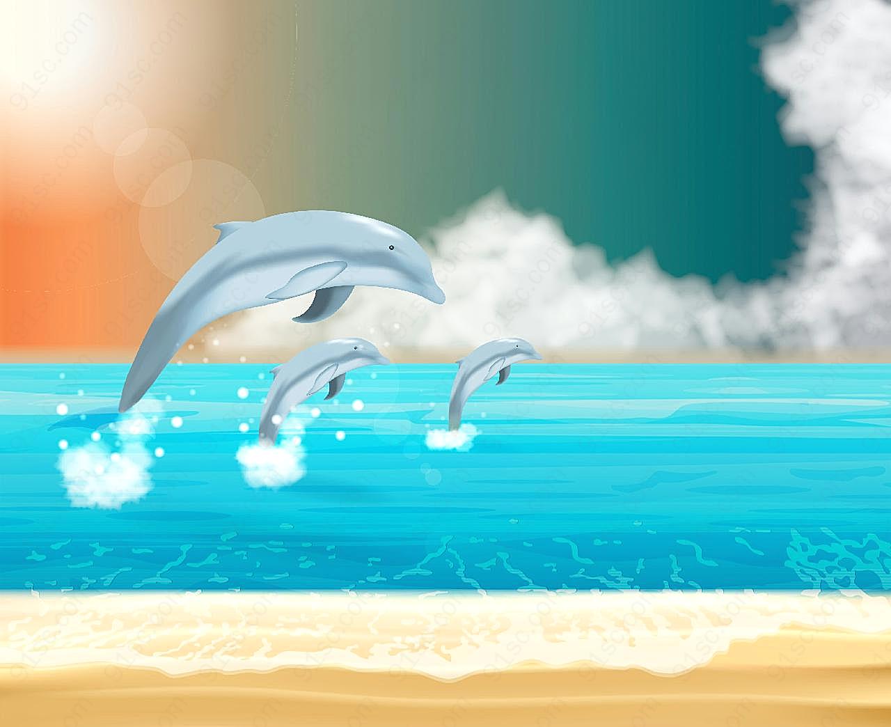 海洋海豚高清摄影