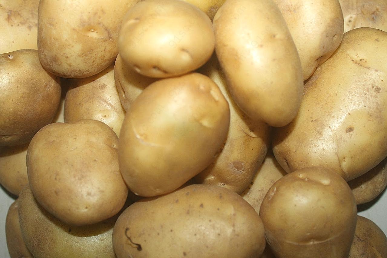 土豆丰收图片蔬菜