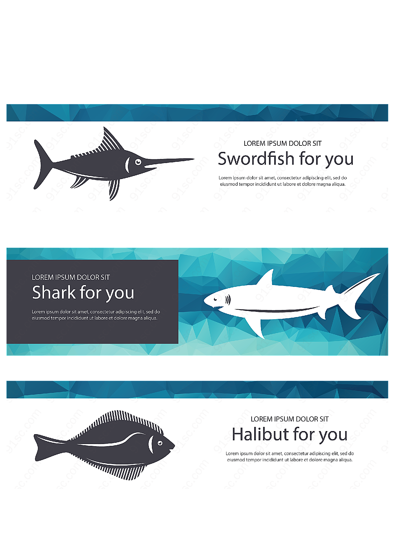 海洋鱼类banner平面广告