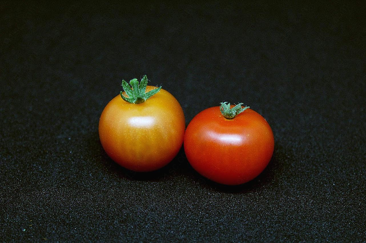 新鲜西红柿图片生物