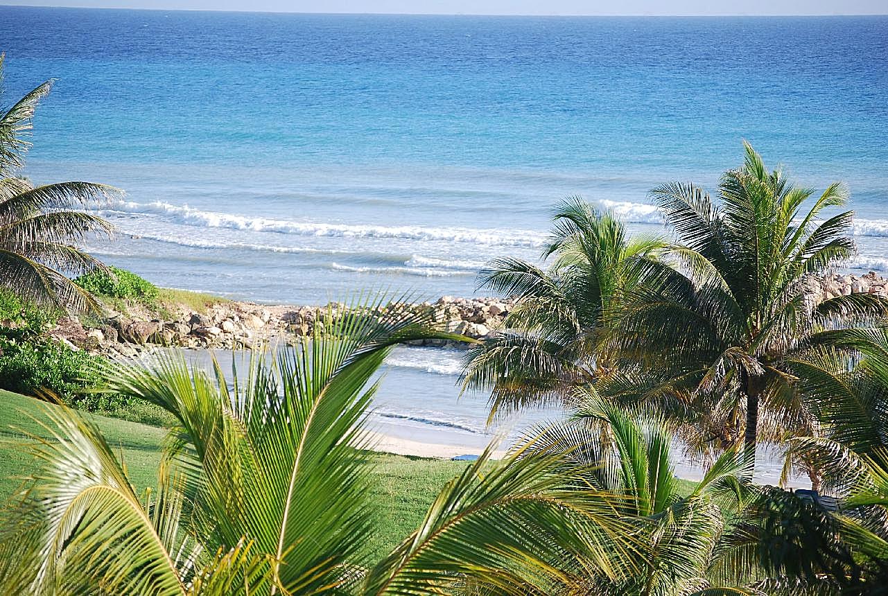 牙买加度假村图片自然风景